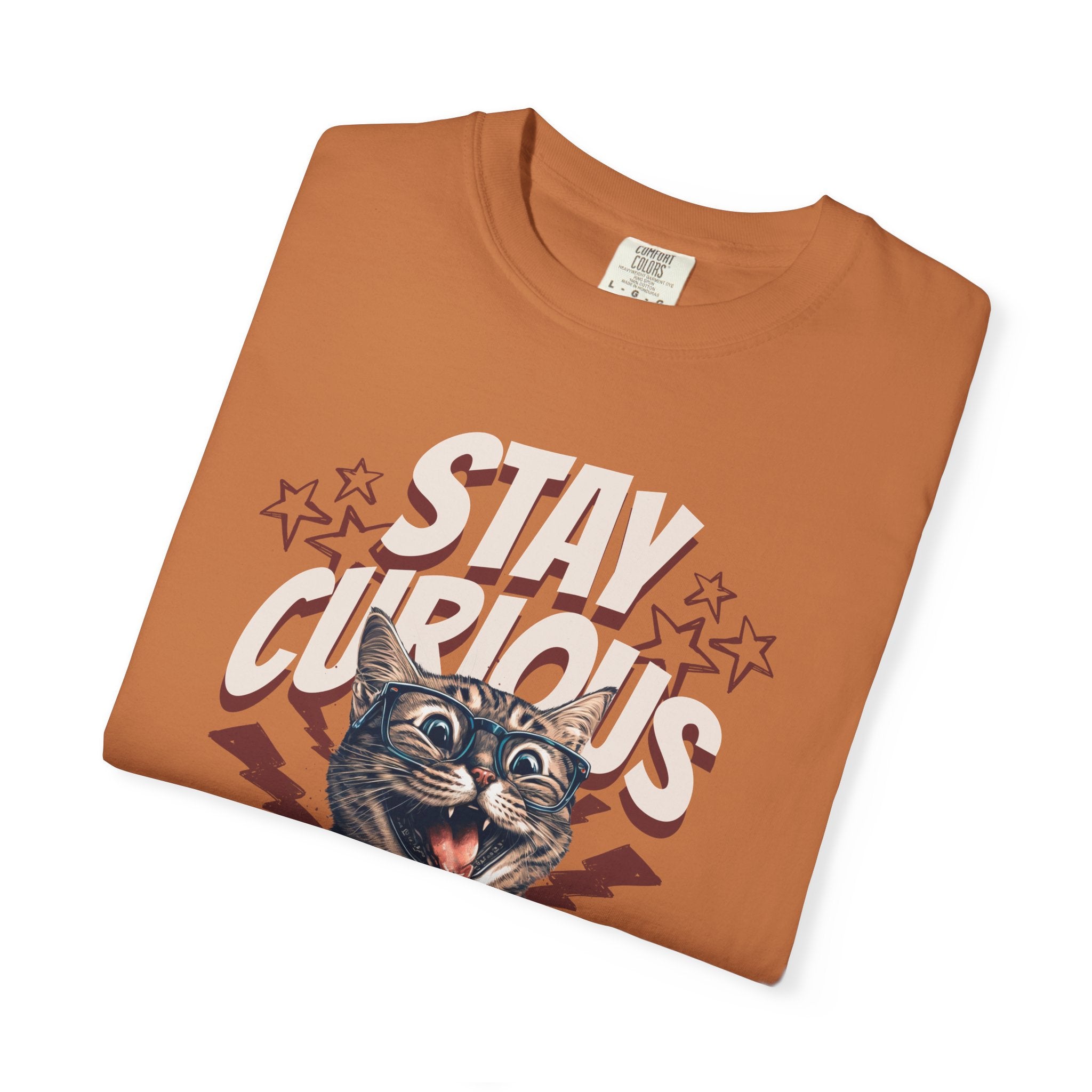 Stay Curious Cat T-Shirt — Vintage Retro Cat Graphic Tee