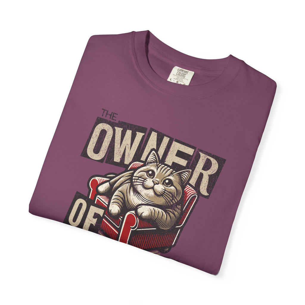 Owner of the House Cat T-Shirt — Vintage Cat Graphic Tee
