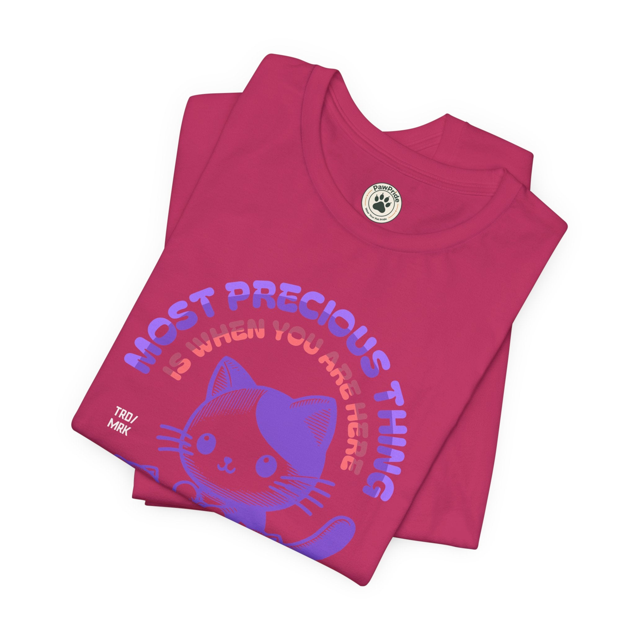 Family Time Cat Tee — "Most Precious Thing Is When You Are Here" Cute Cat Family T-Shirt