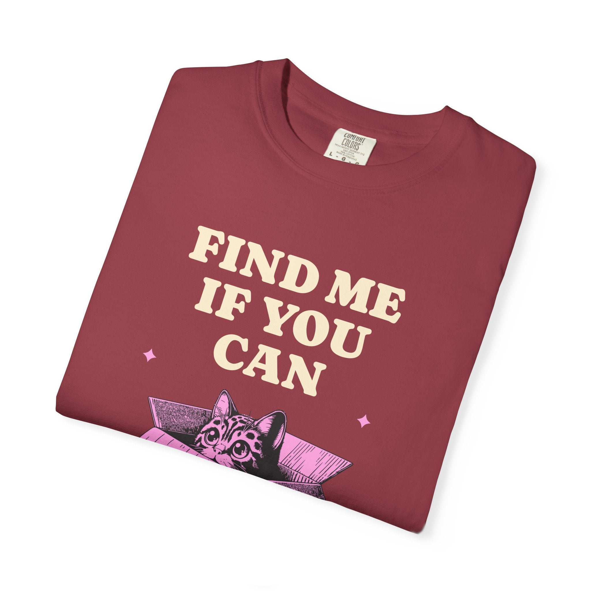 Find Me If You Can Cat T-Shirt — Playful Cat in Box Graphic Tee