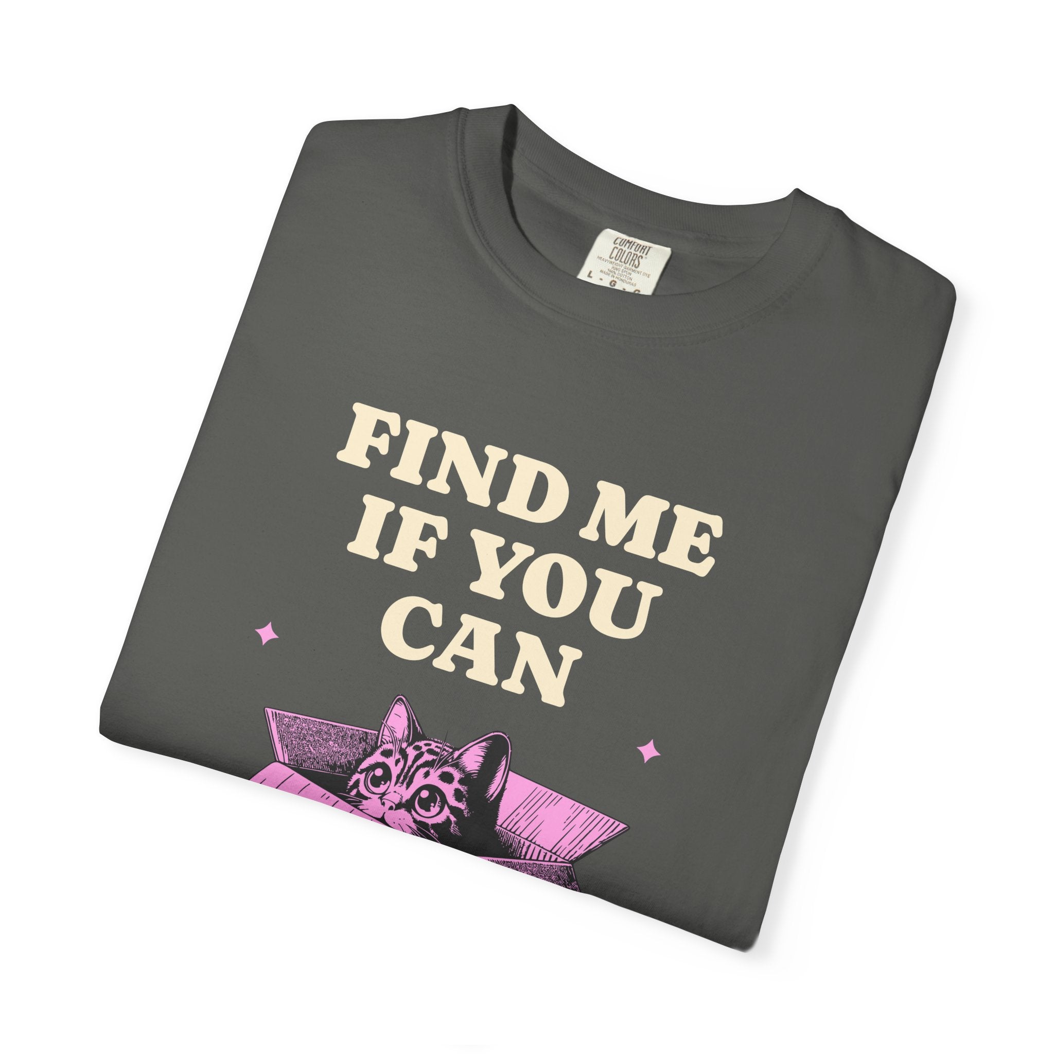 Find Me If You Can Cat T-Shirt — Playful Cat in Box Graphic Tee