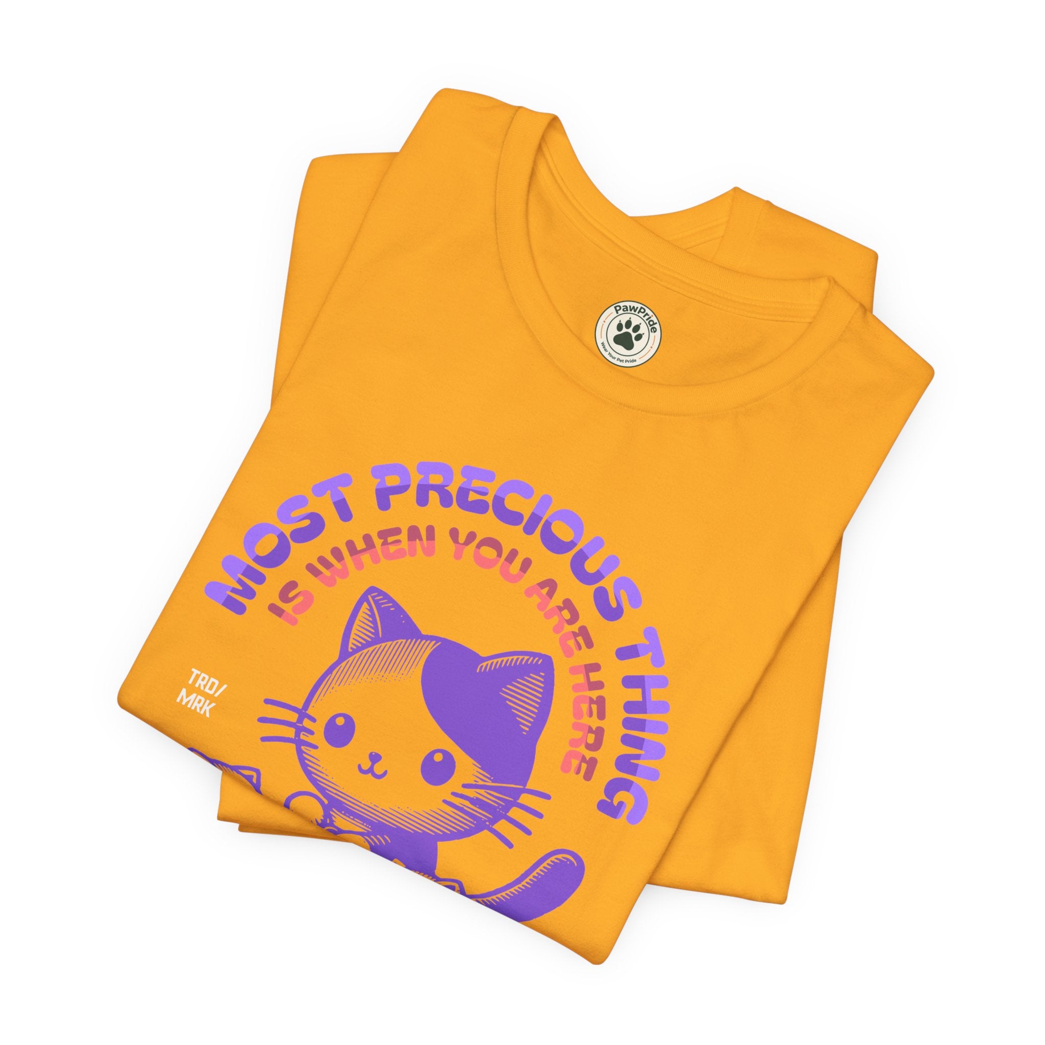 Family Time Cat Tee — "Most Precious Thing Is When You Are Here" Cute Cat Family T-Shirt
