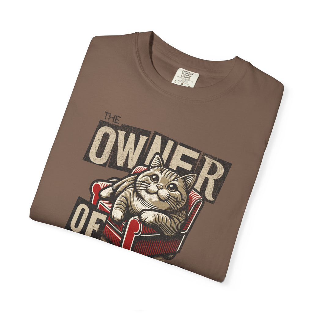 Owner of the House Cat T-Shirt — Vintage Cat Graphic Tee