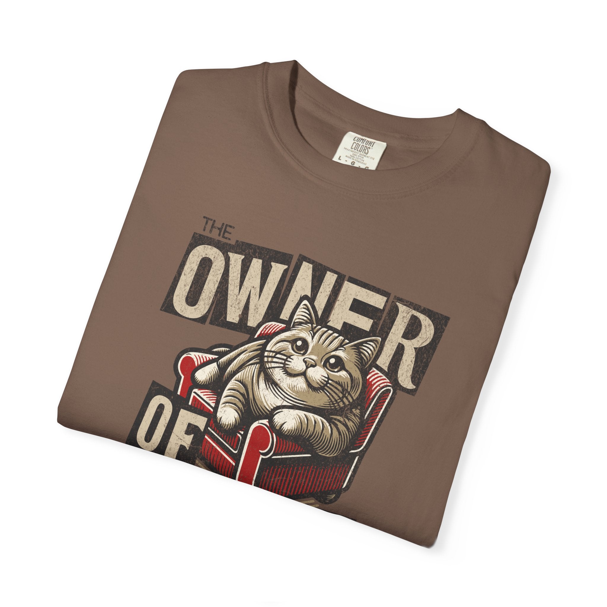 Owner of the House Cat T-Shirt — Vintage Cat Graphic Tee