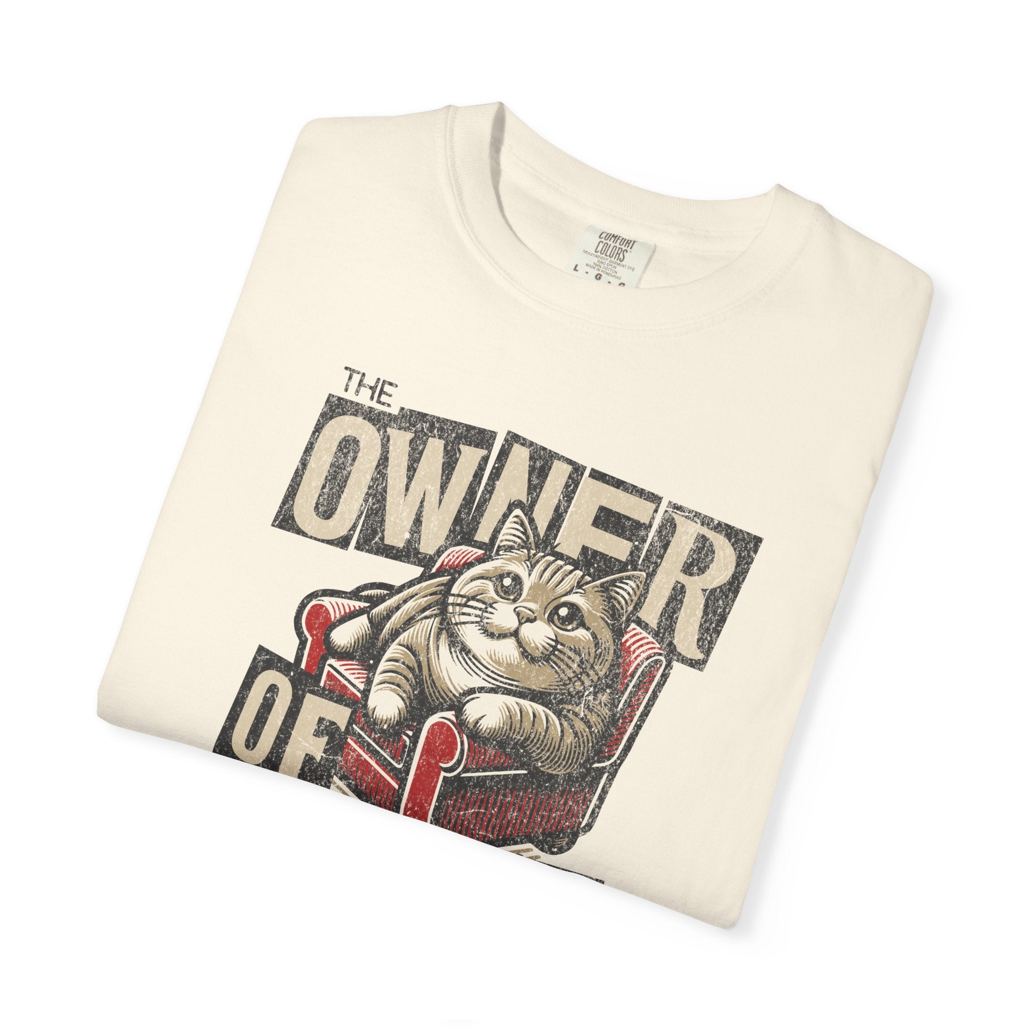 Owner of the House Cat T-Shirt — Vintage Cat Graphic Tee