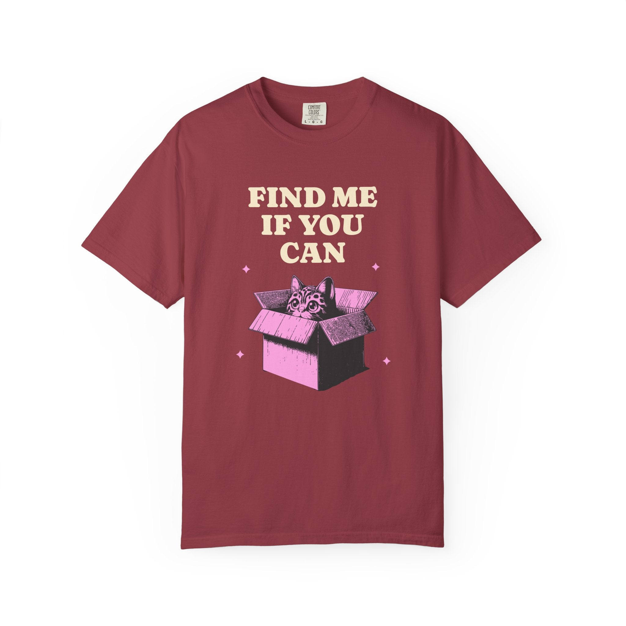 Find Me If You Can Cat T-Shirt — Playful Cat in Box Graphic Tee