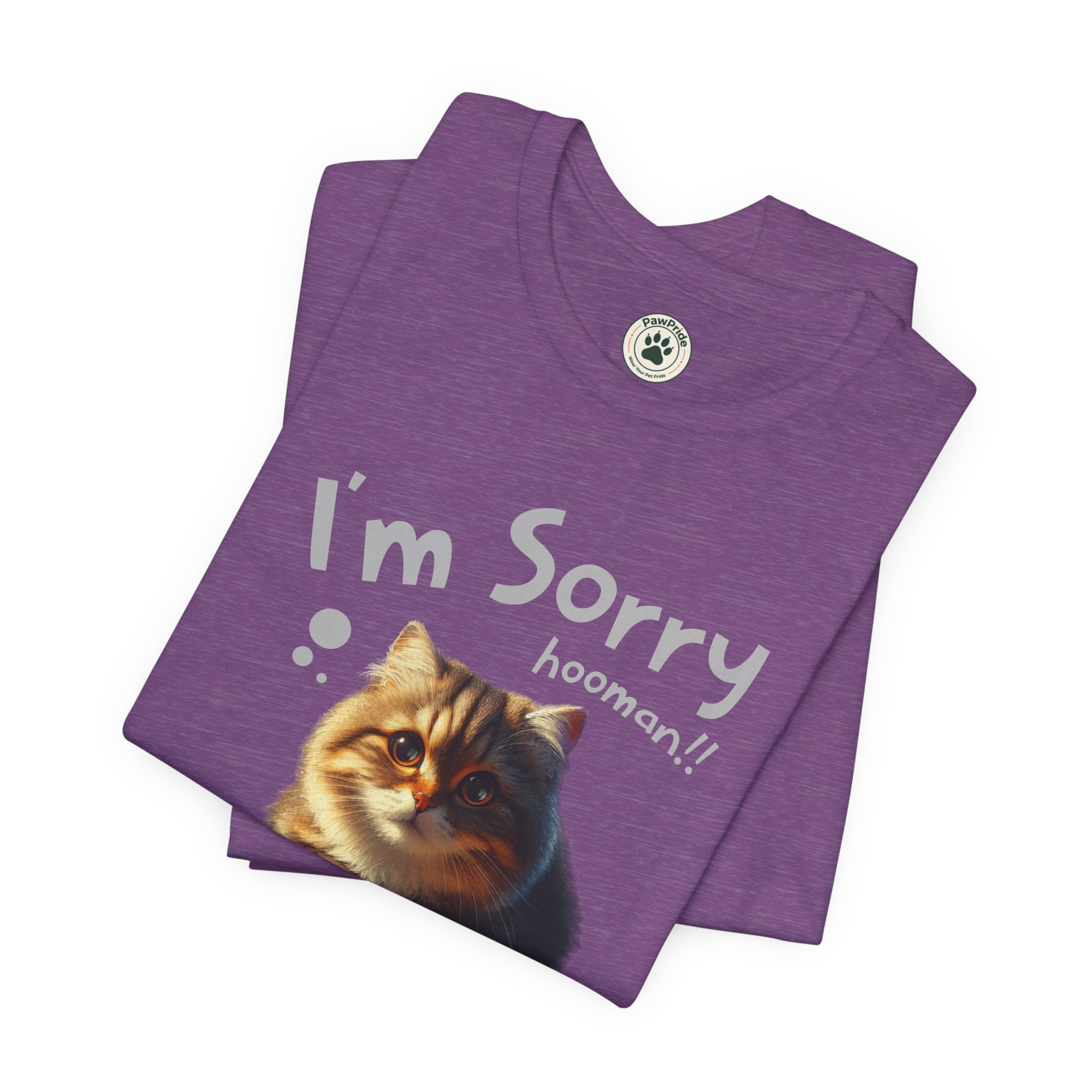 Sorry Kitten T‑Shirt – Cute Apology Cat Tee (‘I’m Sorry hooman!! I know I messed up, but I love you very much’)