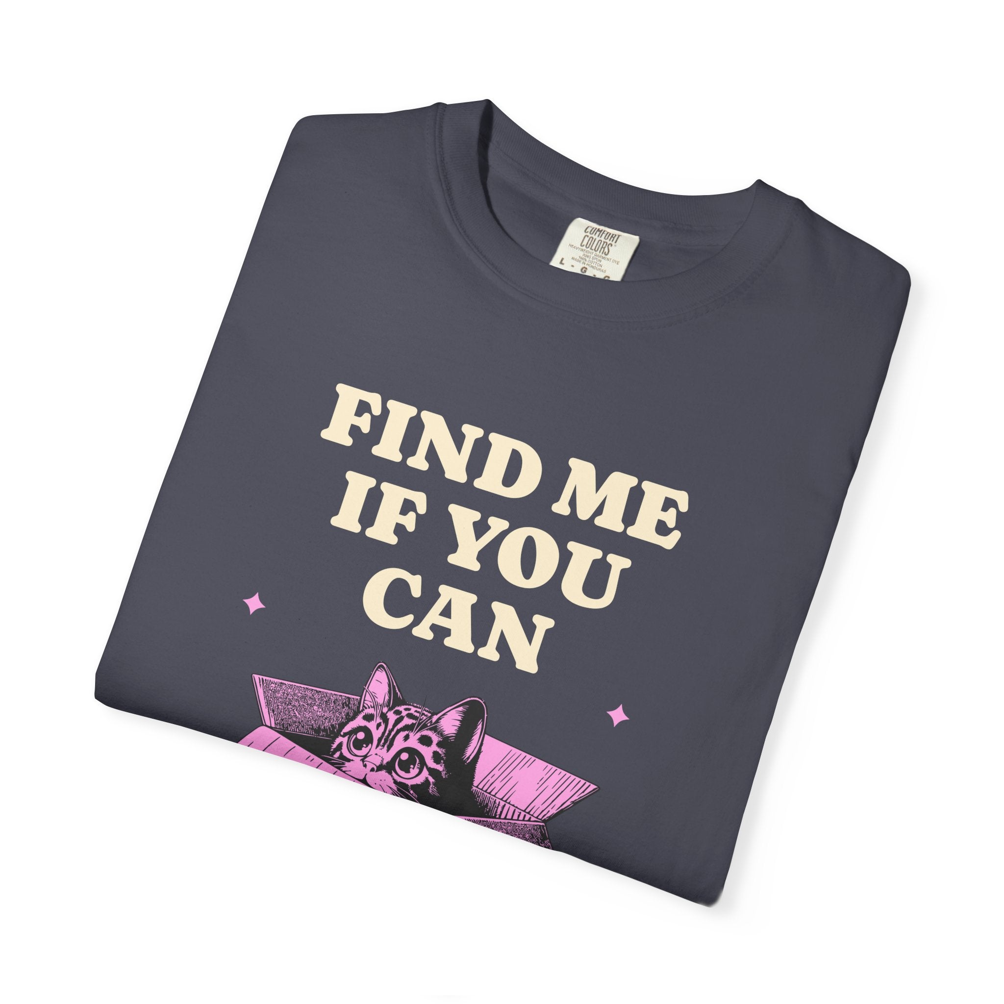 Find Me If You Can Cat T-Shirt — Playful Cat in Box Graphic Tee