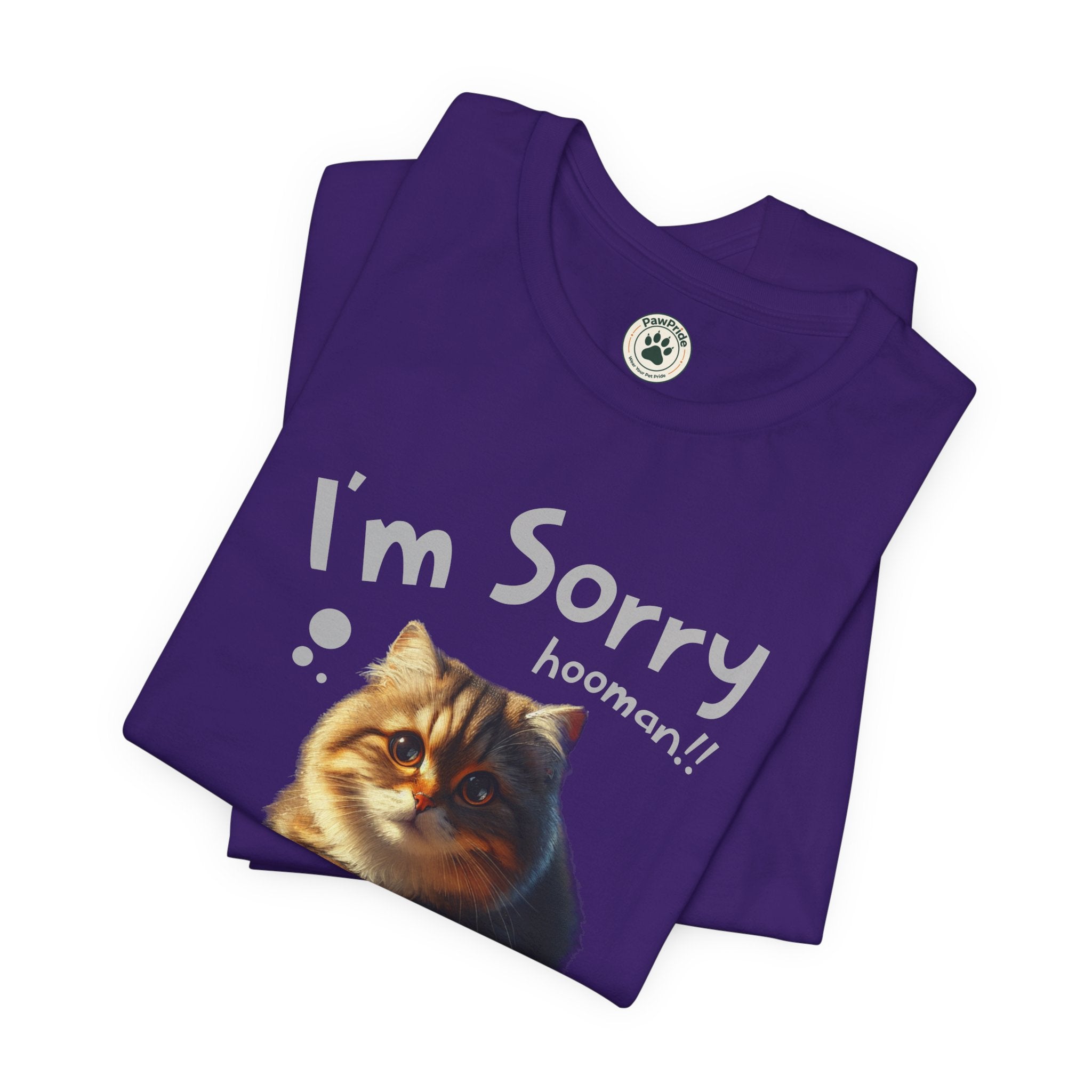 Sorry Kitten T‑Shirt – Cute Apology Cat Tee (‘I’m Sorry hooman!! I know I messed up, but I love you very much’)