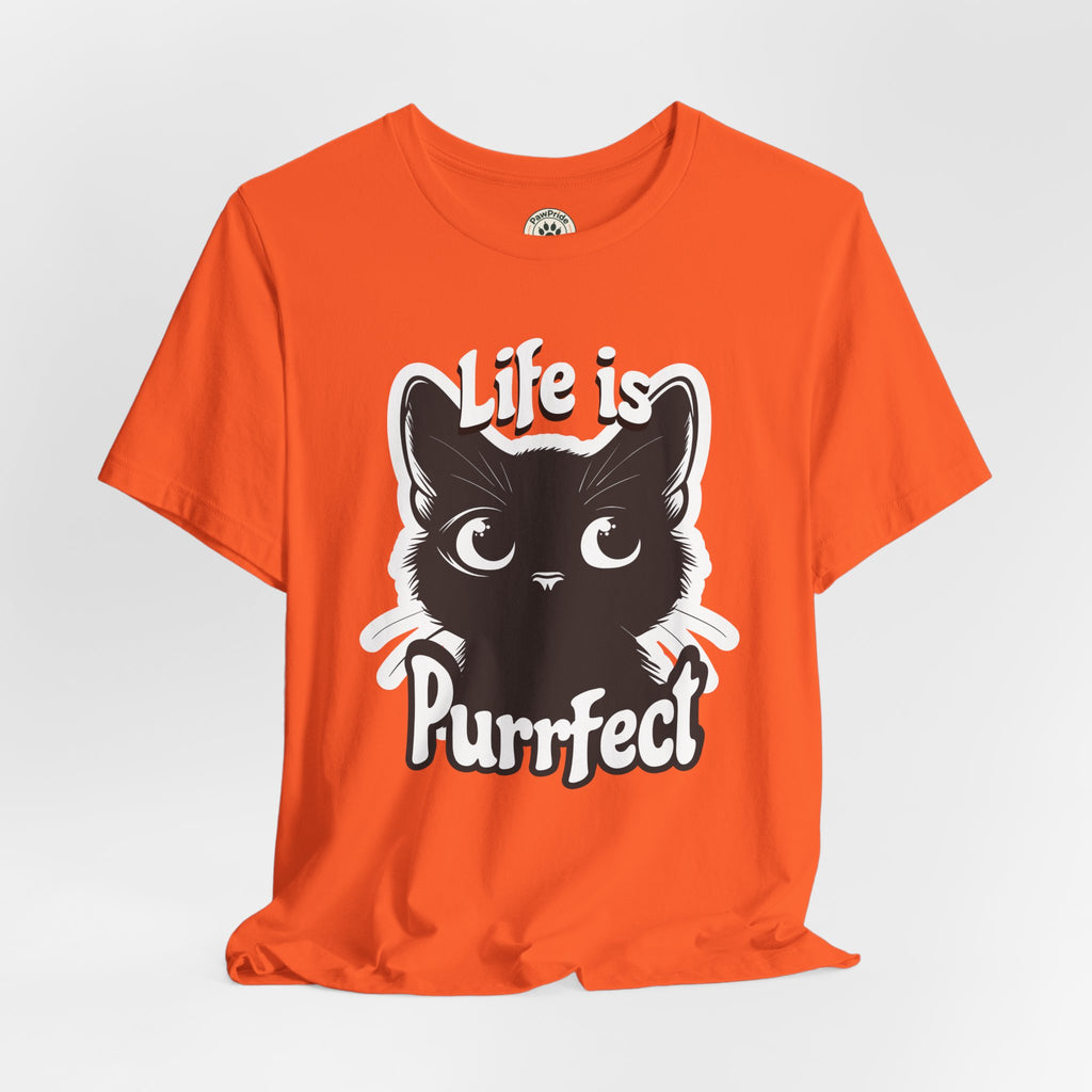 Life Is Purrfect Cat T-Shirt — Cute Black Kitten Graphic Tee for Cat Lovers