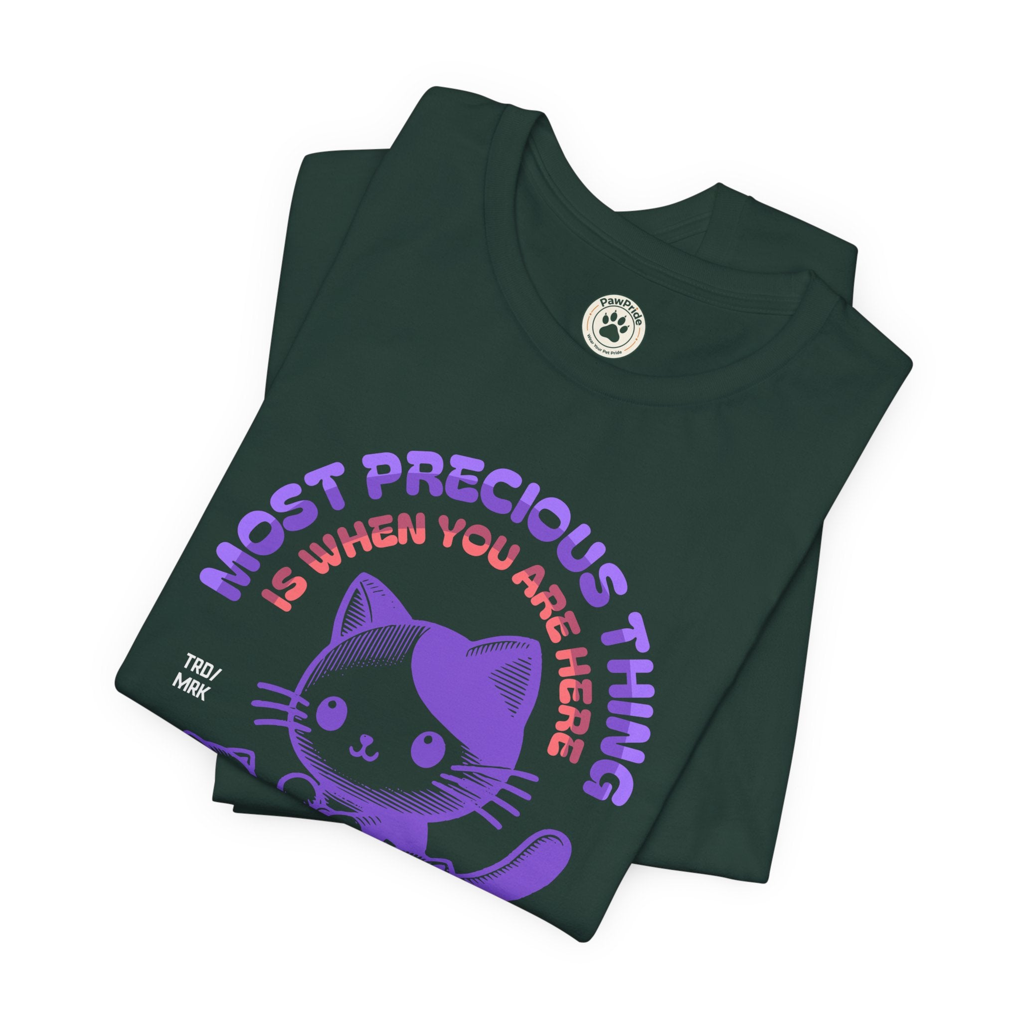 Family Time Cat Tee — "Most Precious Thing Is When You Are Here" Cute Cat Family T-Shirt