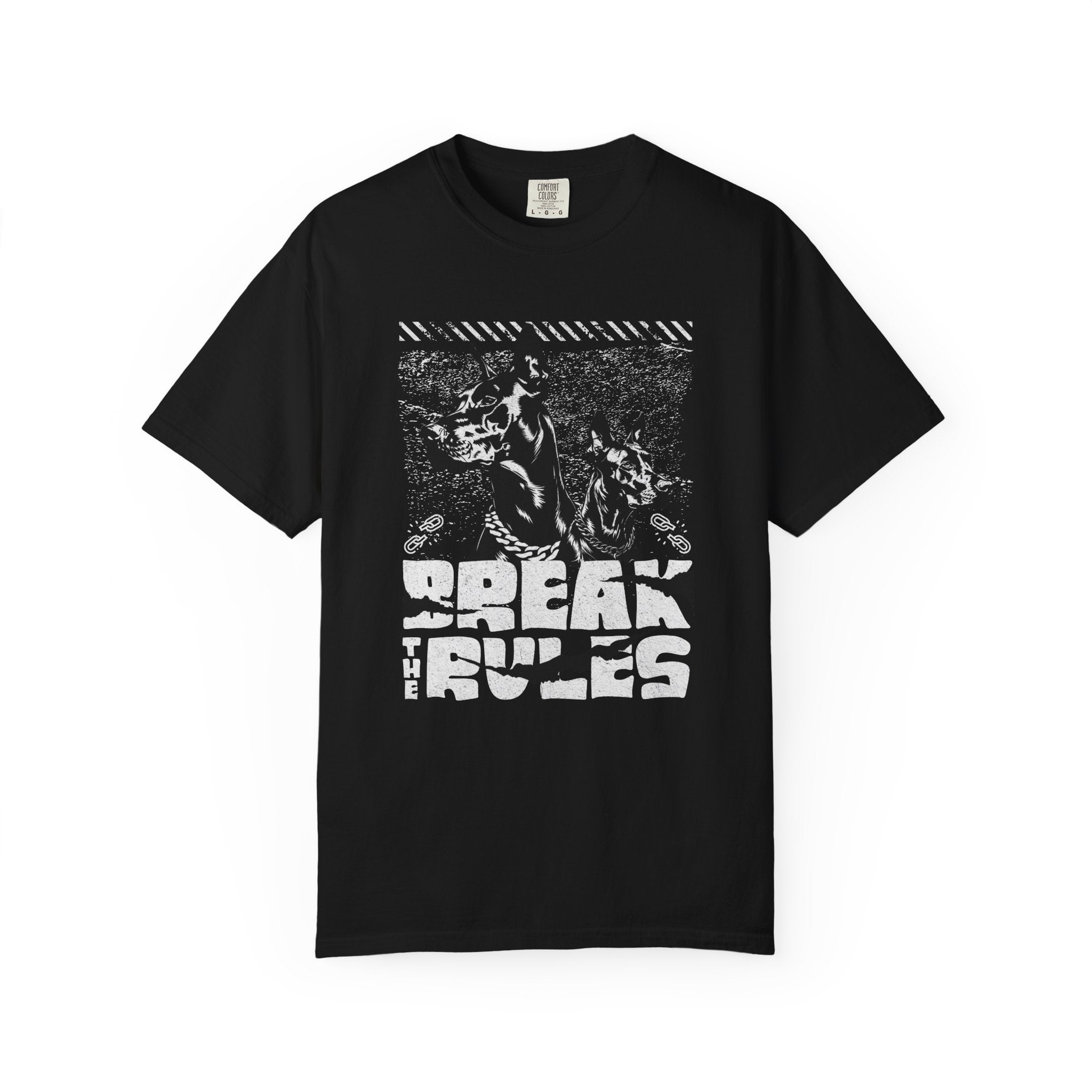 Break the Rules Graphic T-Shirt — Rebel Skate Punk Tee