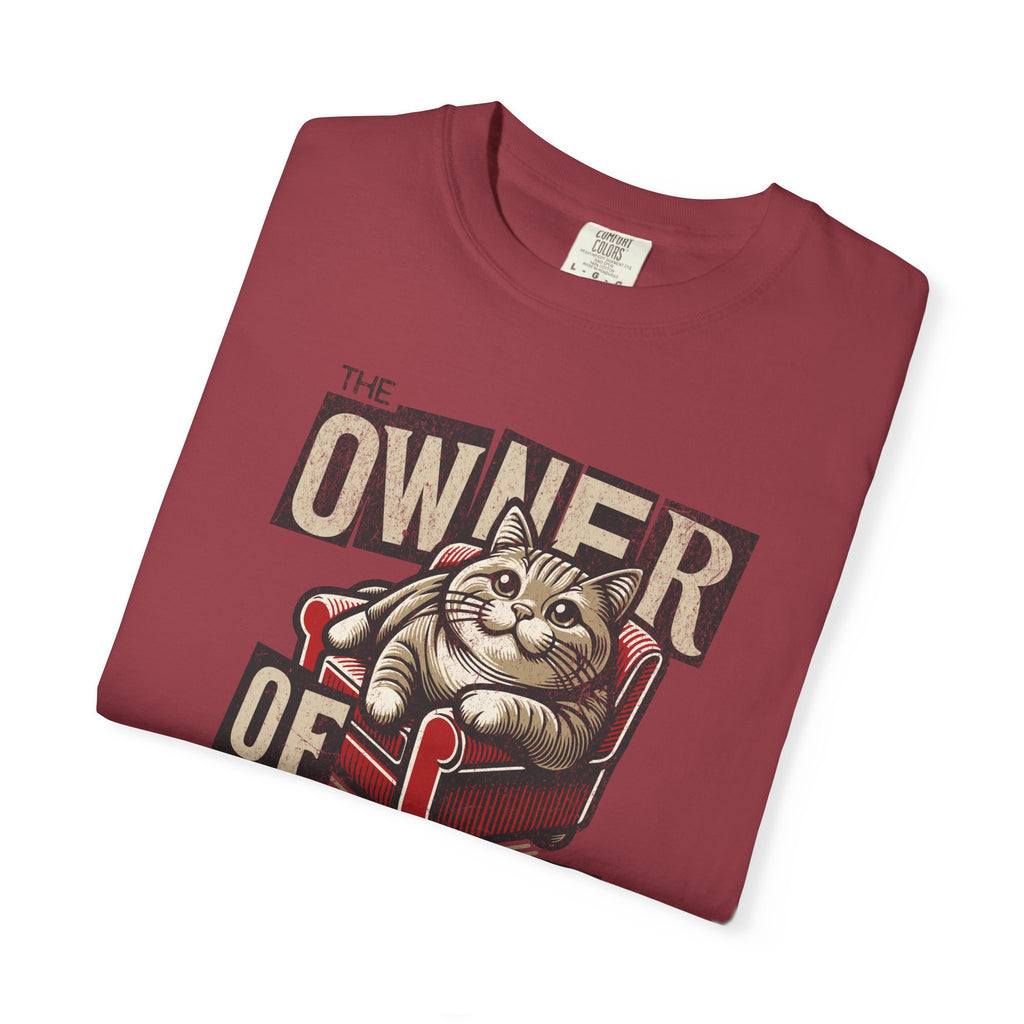 Owner of the House Cat T-Shirt — Vintage Cat Graphic Tee