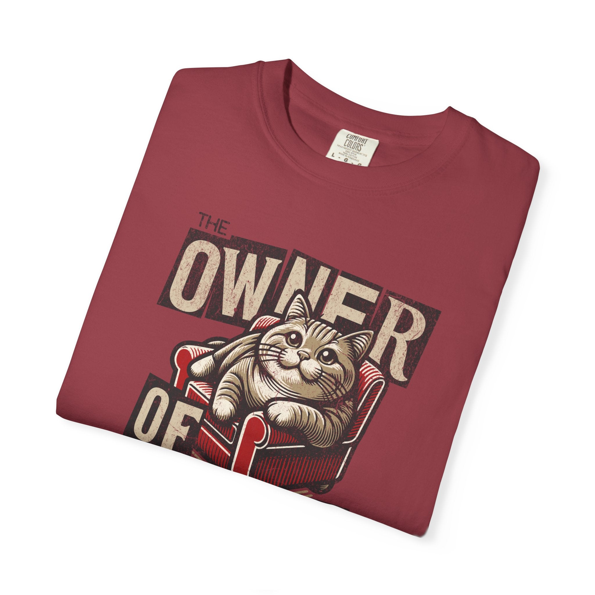 Owner of the House Cat T-Shirt — Vintage Cat Graphic Tee