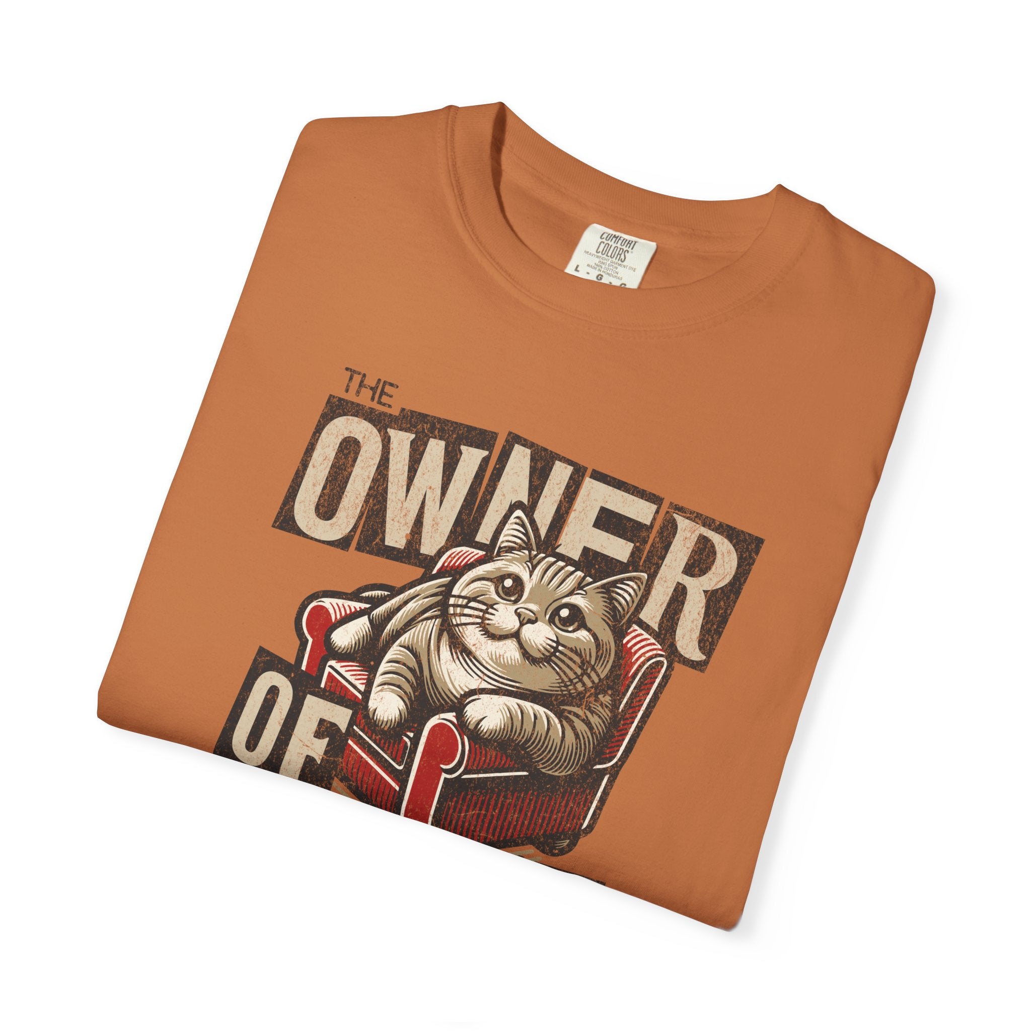 Owner of the House Cat T-Shirt — Vintage Cat Graphic Tee